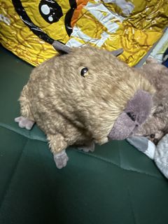 （分類：）位於 。 由 mirajack 提交（商品編號 1429879295，圖片 1）。簡介： 。