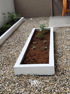 (Category: ) located in . Submitted by backyardgarden (Listing ID 1429969757, Image 1). Description: .