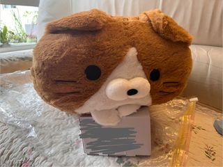 （分類：）位於 。 由 ying23333 提交（商品編號 1429844526，圖片 1）。簡介： 。