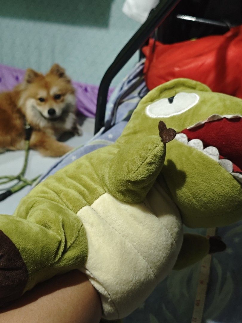 Green Dinosaur Stuffed Toy/Plushie Hand Puppet (Category: Plushies & Soft Toys) located in Paranaque City. Submitted by Dustybun (Listing ID 1429906862, Image 2). Description: 14-15 inches needs wash mod: lbc/sdd (lalamove/grab) mop: gcash loc: parañaque.