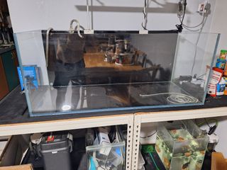 Buhyujkm Aquarium Vergrootglas Viewer, Fish Tank Viewer Kleine Dieren Vergrootglas - Dierlijke Plant Observatie Fish Tank Viewer Voor Het Bekijken Van Koraal En Het Maken Van Foto's