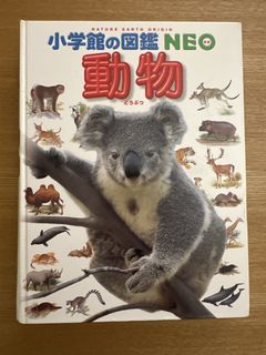 （分類：）位於 。 由 niccht 提交（商品編號 1429843749，圖片 1）。簡介： 。