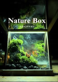 (Category: ) located in . Submitted by nature_art_studio (Listing ID 1430003294, Image 1). Description: .