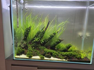 (Category: ) located in . Submitted by mr.fervale (Listing ID 1429941921, Image 1). Description: .