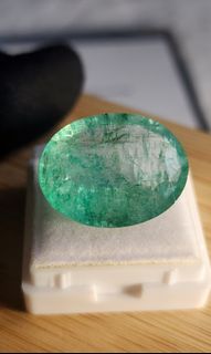 （分類：）位於 。 由 OneGreenWorld 提交（商品編號 1429900817，圖片 1）。簡介： 。