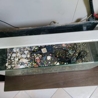 (Category: ) located in . Submitted by faizal.mr (Listing ID 1429947219, Image 1). Description: .