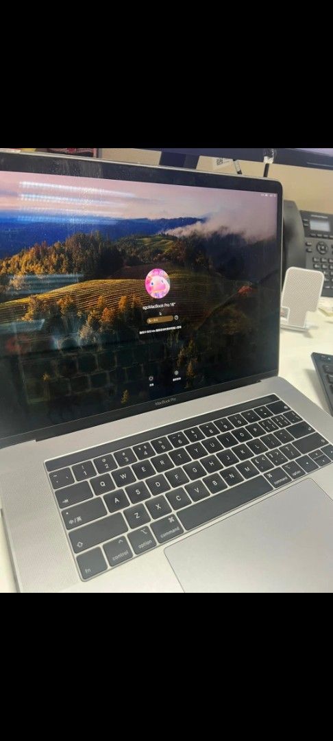 Apple MacBook Pro440934959385169923