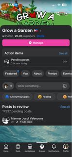 (Category: ) located in . Submitted by fieol (Listing ID 1435314048, Image 1). Description: .
