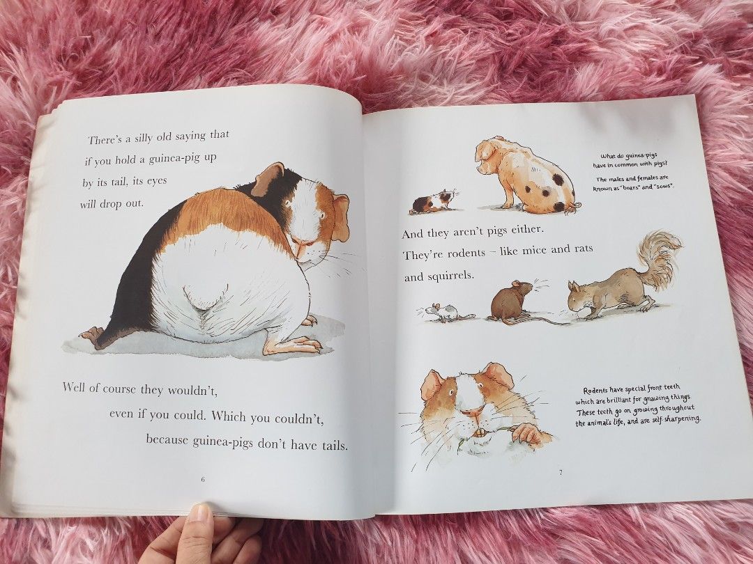 I Love Guinea Pigs by Dick-King Smith (Category: Children's Books) located in Los Banos. Submitted by cherselsattic (Listing ID 1435225247, Image 3). Description: BUY WITH CONFIDENCE 😀 📚 Carefully curated, great for storytime. 📵 Less screen time —build imagination, focus, and a genuine love for reading. 💰 Smart & sustainable choice Enjoy a great story at a very affordable price while helping reduce waste ♻️ 📌 Condition: Preloved. May have si