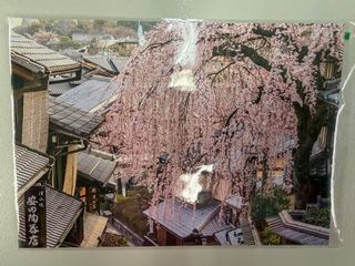 （分類：）位於 。 由 sunshine.ll 提交（商品編號 1435182170，圖片 1）。簡介： 。