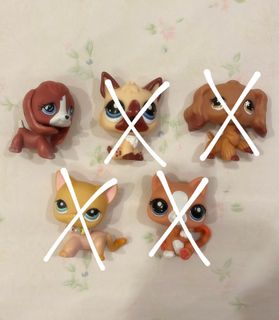 (Category: ) located in . Submitted by youraela (Listing ID 1431148463, Image 1). Description: .