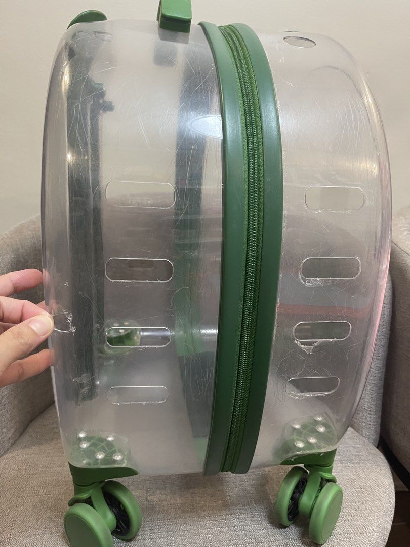 PET TROLLEY CLEAR CASE BAG (Category: Homes & Other Pet Accessories) located in General Trias. Submitted by jlent.6888 (Listing ID 1435252689, Image 3). Description: VERY NEW STILL HAS A THIN CLING PLASTIC. Around the case (You may remove it🙂 Used once 1-2hrs only - No pillow included. .