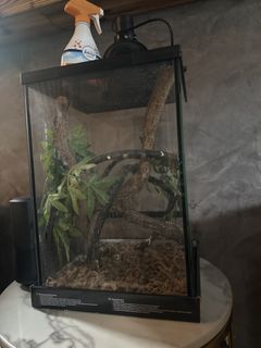 (Category: ) located in . Submitted by kekey (Listing ID 1435203426, Image 1). Description: .