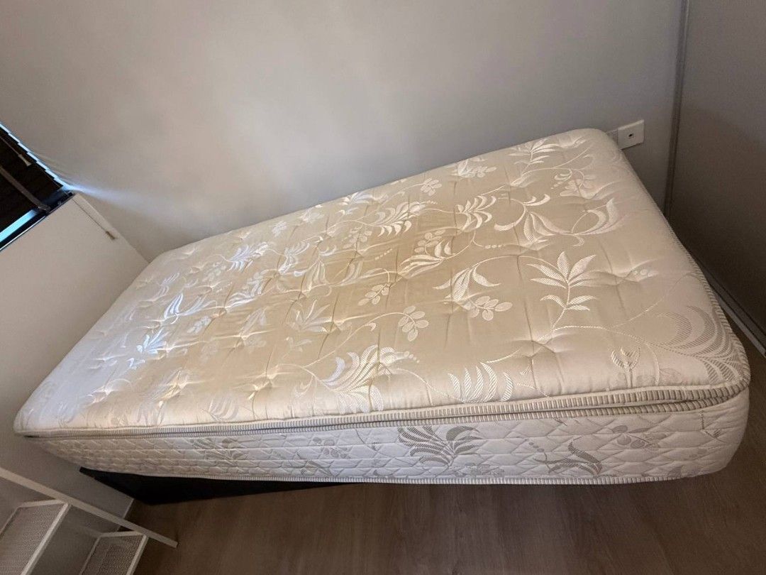 Single Bed441684447525621761