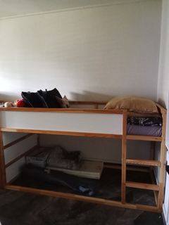 (Category: ) located in . Submitted by snyishak (Listing ID 1435185328, Image 1). Description: .