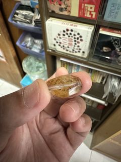（分類：）位於 。 由 johnyechkw 提交（商品編號 1430089813，圖片 1）。簡介： 。