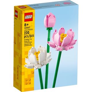(Category: ) located in . Submitted by user727118 (Listing ID 1430099747, Image 1). Description: .