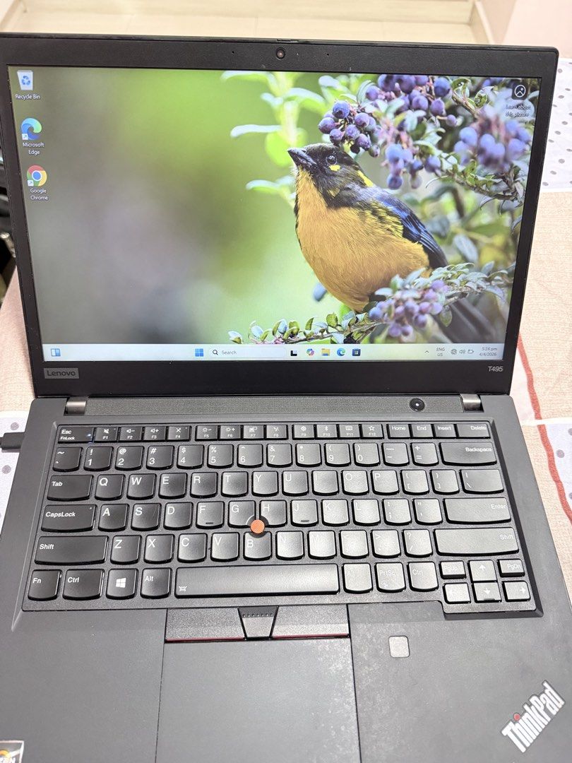 Lenovo ThinkPad T495 Laptop