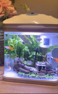 (Category: ) located in . Submitted by allthingslove (Listing ID 1430029758, Image 1). Description: .