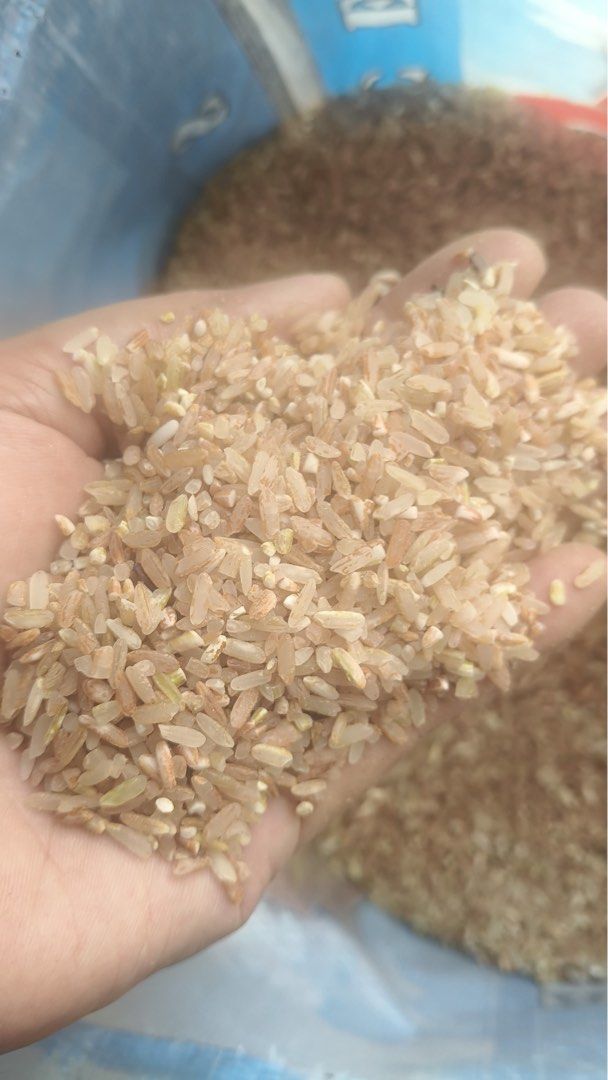 Super Rice - Brown and Black Rice (Category: Fresh Produce) located in Makati City. Submitted by adodo123 (Listing ID 1430048806, Image 2). Description: Bagong ani galing tuguegarao malambot pwede per kilo .