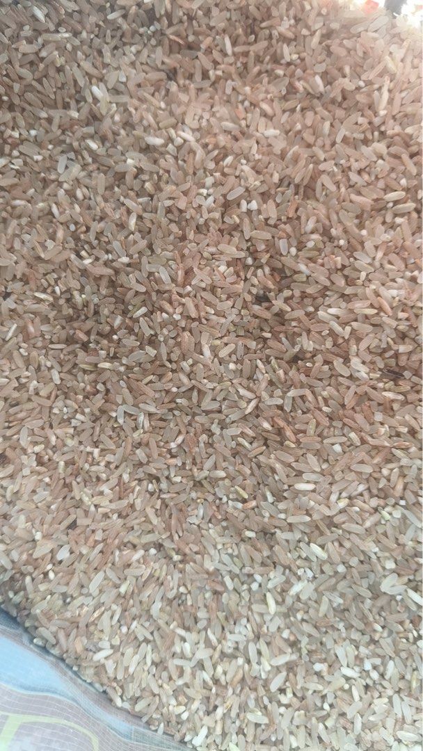 Super Rice - Brown and Black Rice (Category: Fresh Produce) located in Makati City. Submitted by adodo123 (Listing ID 1430048806, Image 3). Description: Bagong ani galing tuguegarao malambot pwede per kilo .