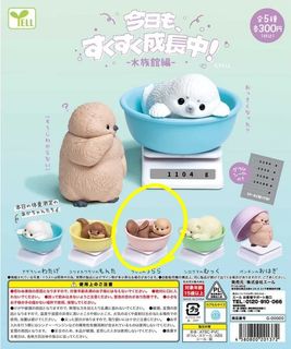 由 yebro (刊登 ID 1430146803，圖片 1) 提交，位於 的 (類別：)，說明：。