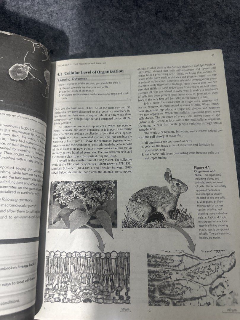 Biology 11th Edition Mader Windelspecht (Category: Textbooks) located in Dasmarinas. Submitted by ras_cav (Listing ID 1430267556, Image 3). Description: Selling for only 1000 pesos Original price 1898 bought from NBS RFS: done using it/decluttering.