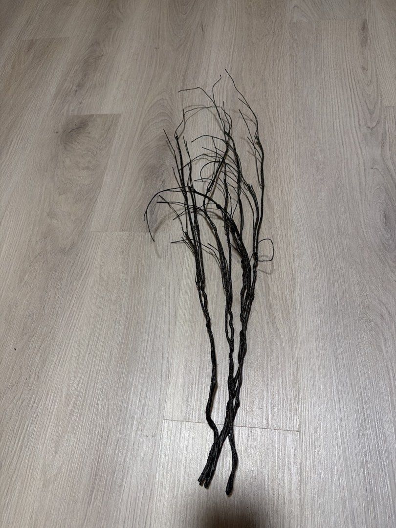 Decorative Branches
