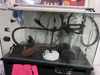 （分類：）位於 。 由 frozenyo 提交（商品編號 1430331782，圖片 1）。簡介： 。