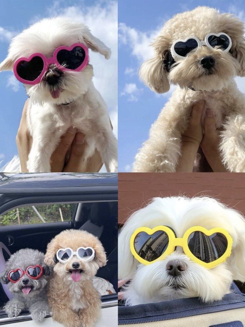 SHEIN Heart-Shaped Dog Sunglasses (Category: Sunglasses & Eyewear) located in Quezon City. Submitted by krstncl (Listing ID 1430280148, Image 1). Description: .