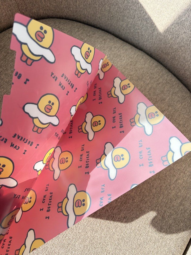 Line Friends Sally File Folder (Category: Stationery & School Supplies) located in Makati City. Submitted by preloveditems_8 (Listing ID 1430292818, Image 2). Description: .