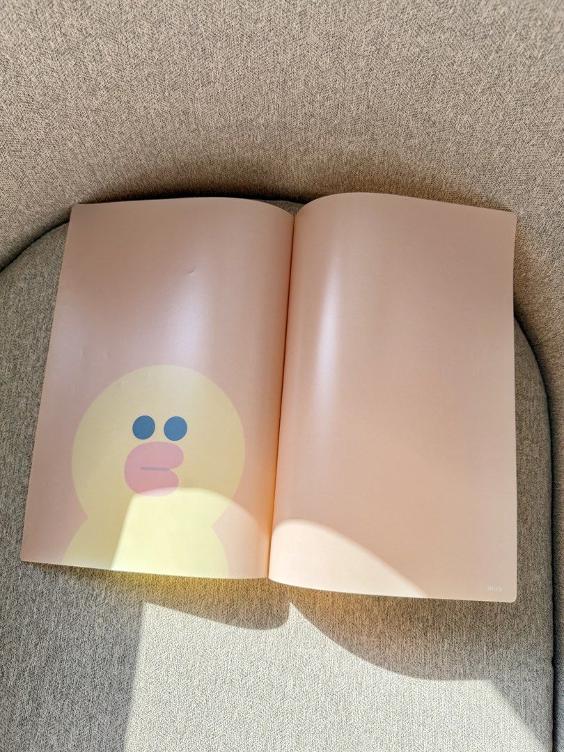 LINE Friends Sally Folder (Category: Stationery & School Supplies) located in Makati City. Submitted by preloveditems_8 (Listing ID 1430289475, Image 2). Description: .
