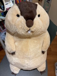 （分類：）位於 。 由 shopphkkk 提交（商品編號 1430358260，圖片 1）。簡介： 。
