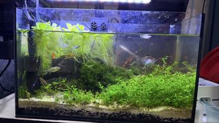 (Category: ) located in . Submitted by ddaktiv (Listing ID 1430284255, Image 1). Description: .