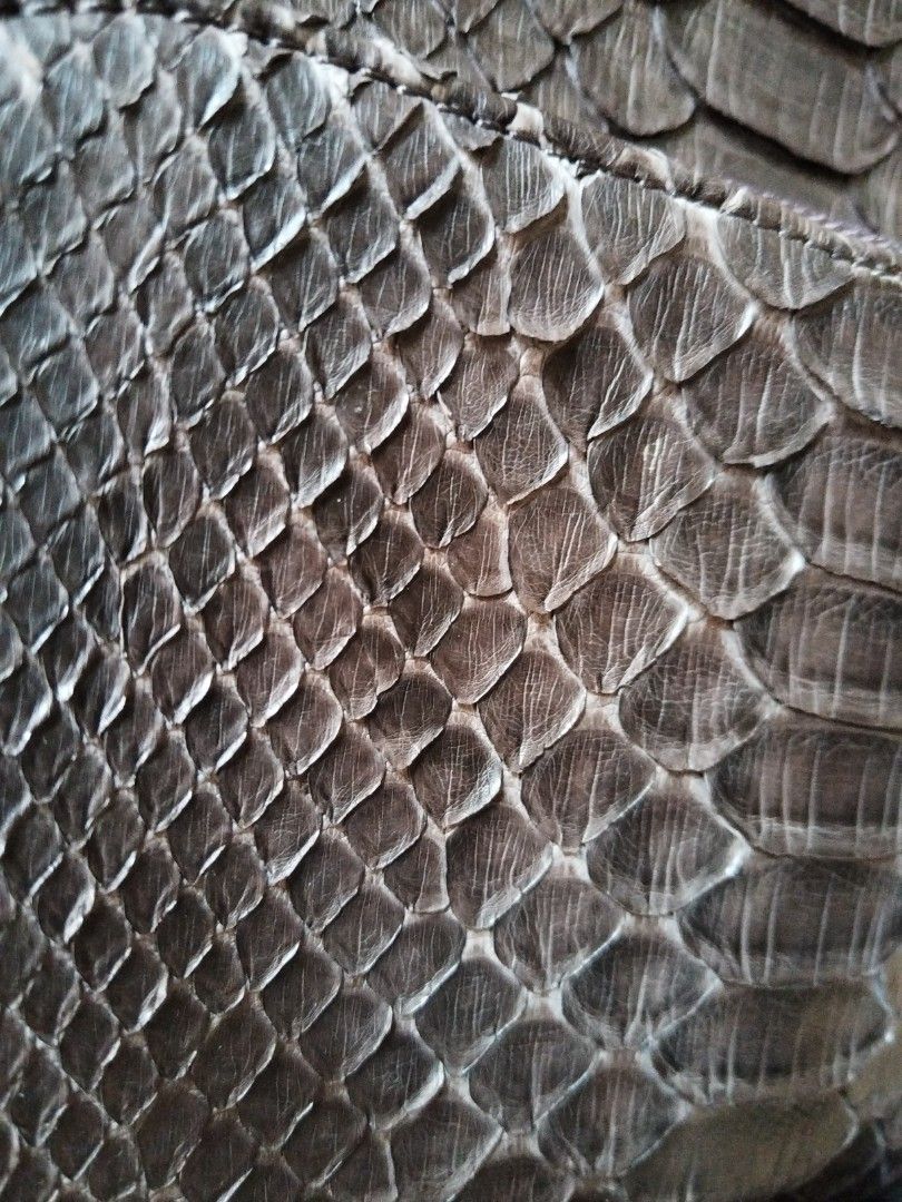 Silviano Biagini Python Leather Backpack (Category: Backpacks) located in Quezon City. Submitted by V_Cl0set (Listing ID 1430228749, Image 2). Description: 100% Genuine python,crocodile and calf leather leather very cute design small back pack.
