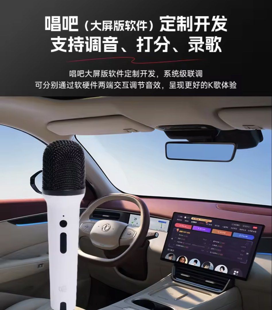 Wireless Car Karaoke DuelMicrophone423322030850058242