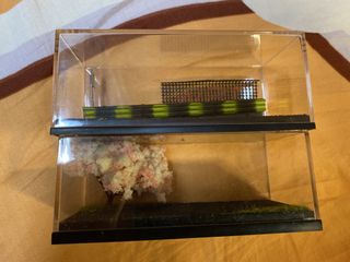（分類：）位於 。 由 ljt428 提交（商品編號 1430546610，圖片 1）。簡介： 。