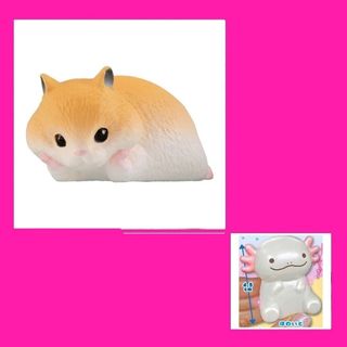 （分類：）位於 。 由 newcognitionbox 提交（商品編號 1227658705，圖片 1）。簡介： 。