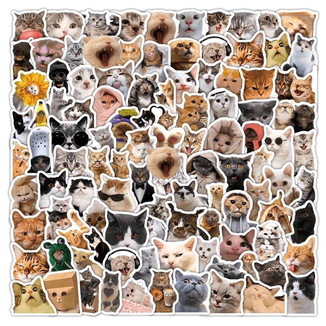 ($3 FOR MIX) 100 funny cat meme waterproof laptop scrapbook stickers ...