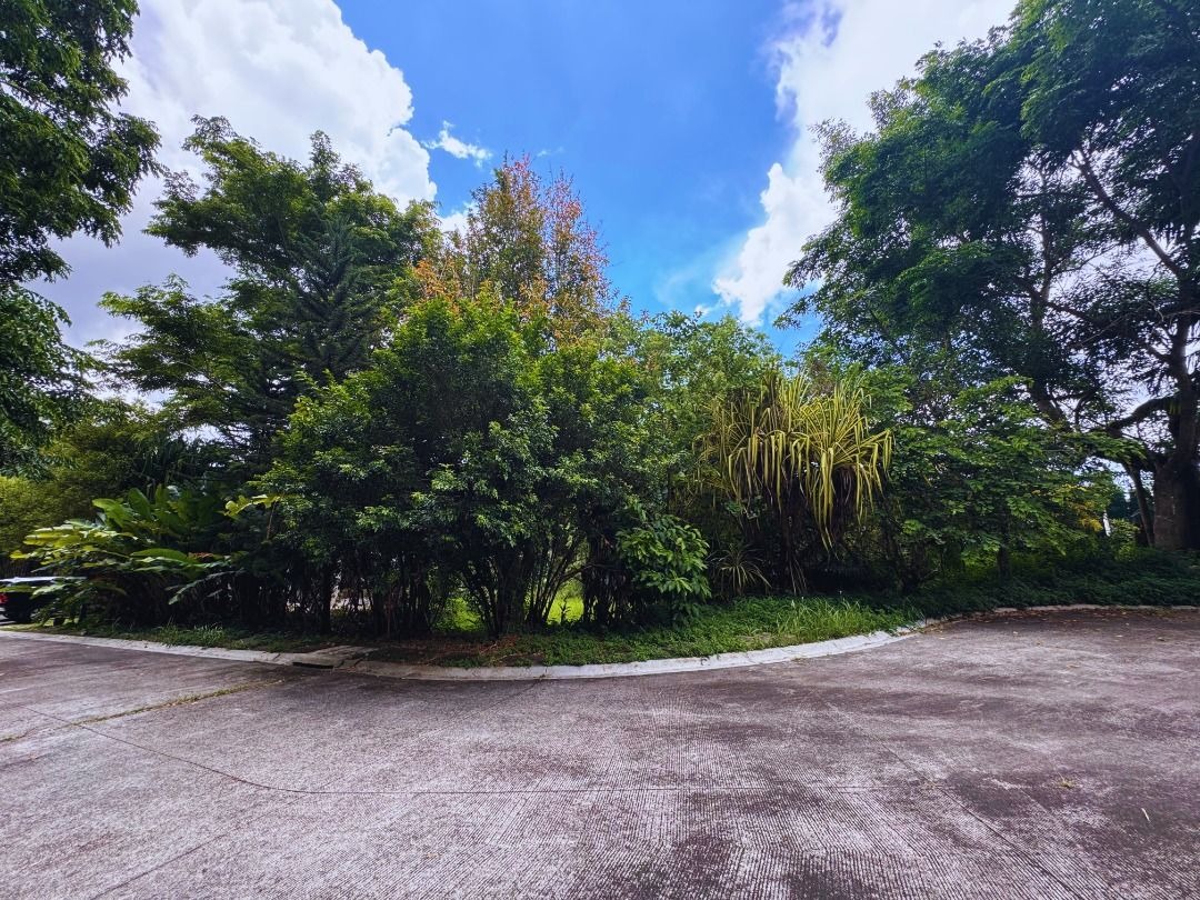 (Category: ) located in . Submitted by atty.jay (Listing ID 1430430980, Image 1). Description: .