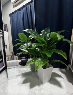 (Category: ) located in . Submitted by xbyy__ (Listing ID 1430547248, Image 1). Description: .