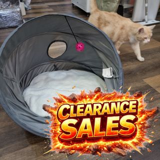 (Category: ) located in . Submitted by petsjoyland (Listing ID 1430485865, Image 1). Description: .