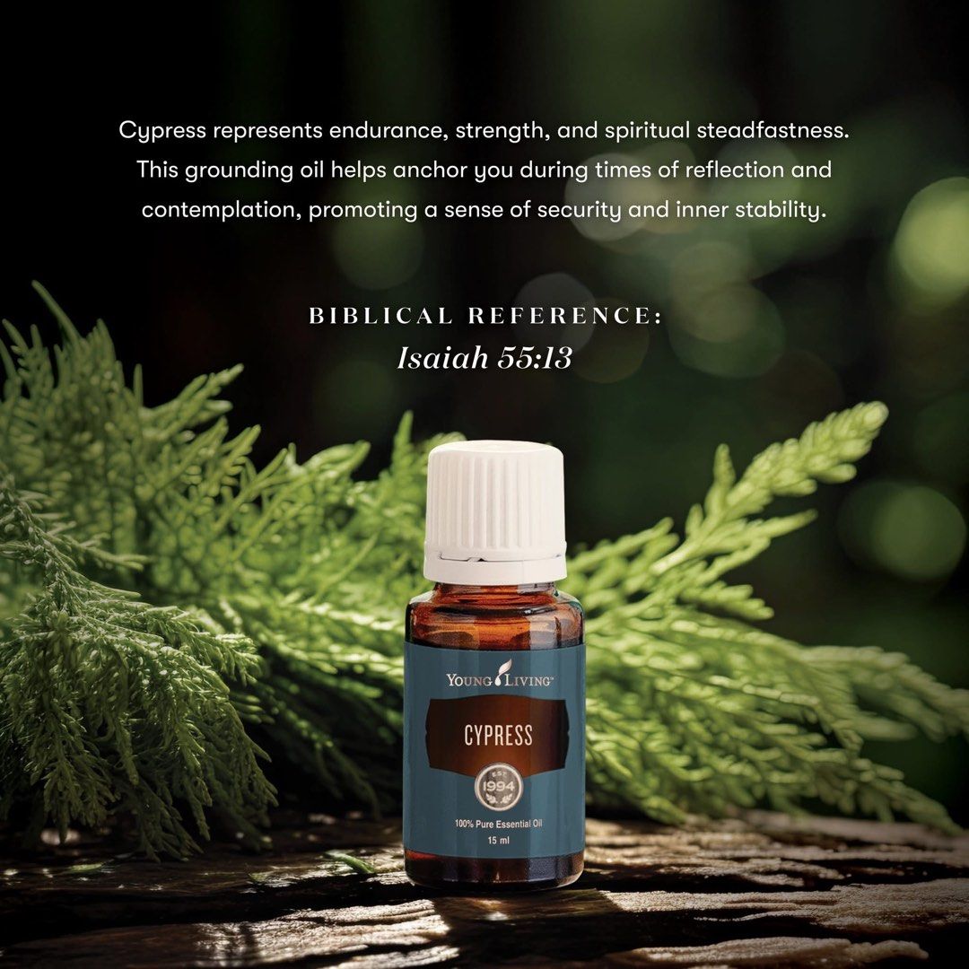 Cypress essential Oil (Category: Home Fragrance) located in Las Pinas. Submitted by declutter0808 (Listing ID 1430531210, Image 1). Description: Sealed authentic oils .
