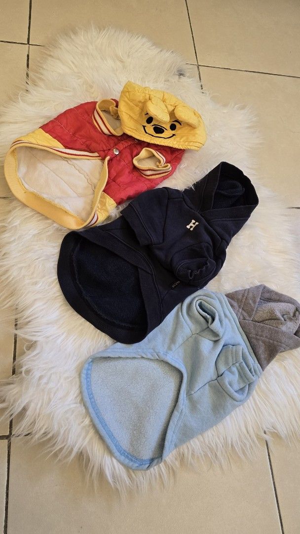 Dog Clothes Bundle 5kg to 7kg (Category: Homes & Other Pet Accessories) located in Taguig. Submitted by c_rivera (Listing ID 1430409210, Image 2). Description: Each bundle has price indicated in the photo. Every item has been washed already. Korean Pet Clothes, condition 9 out of 10. Buyer shoulders SF. If take all, P1k. Buyer shoulders shipping..