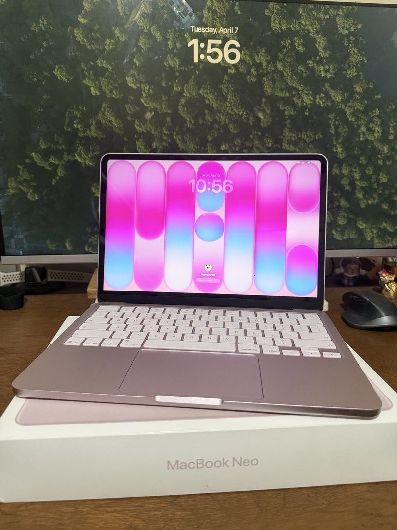 Macbook Neo 8gb / 256gb Blush Pi…