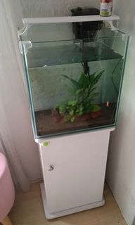 (Category: ) located in . Submitted by proxdeen (Listing ID 1430446936, Image 1). Description: .
