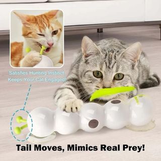 (Category: ) located in . Submitted by steadymart (Listing ID 1430428617, Image 1). Description: .