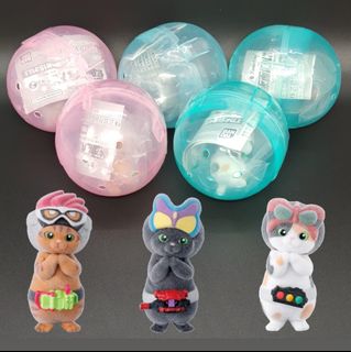 （分類：）位於 。 由 letgotoys 提交（商品編號 1430793889，圖片 1）。簡介： 。