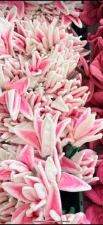 （分類：）位於 。 由 kewtieee 提交（商品編號 1430753460，圖片 1）。簡介： 。