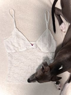 （分類：）位於 。 由 ab1ga1l 提交（商品編號 1430763610，圖片 1）。簡介： 。